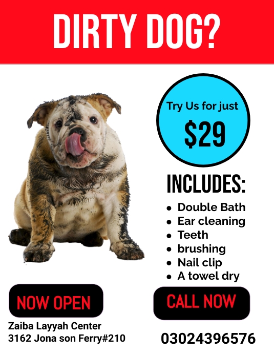 pet day care Flyer (US Letter) template