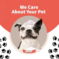 Pet Carré (1:1) template
