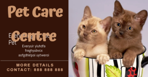 pet Publicité Facebook template
