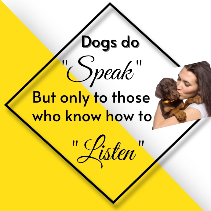 pet/dog questions Template PosterMyWall