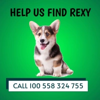 pet flyer Instagram Post template