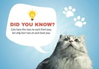 Pet Fun Fact Poskaart template