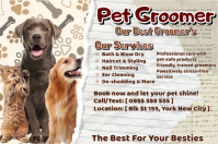 Pet Groomer Services Poster template