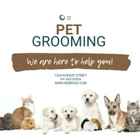 pet groomimg Service Video Design Template Square (1:1)