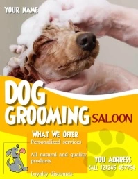 pet grooming Folheto (US Letter) template