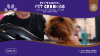 Purple Pet Grooming Services Digital Display 16:9 Video template