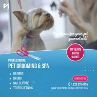 Pet Grooming Services Video Ad 方形(1:1) template