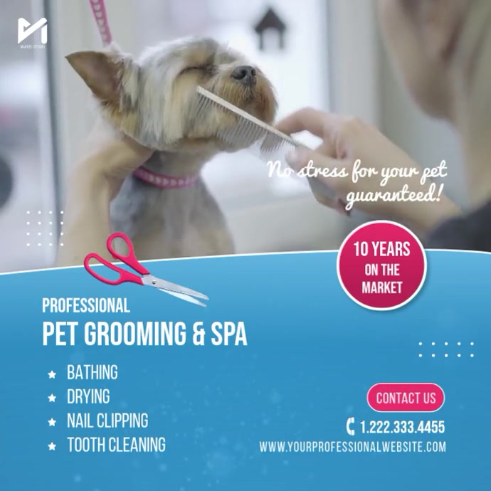 Plantilla de Pet grooming service promotion square video template ...