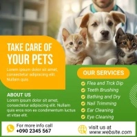 Pet Health Care Service video post Square (1:1) template