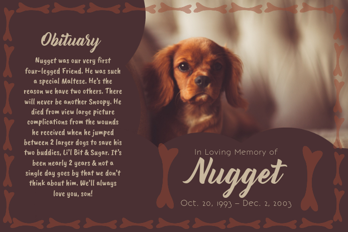Pet Obituary Landscape Poster Template Postermywall