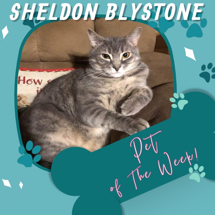 pet of the month Template PosterMyWall