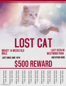customizable design templates for lost animal postermywall lost dog flyer maker