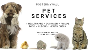 Pet service business digital video ad banner template