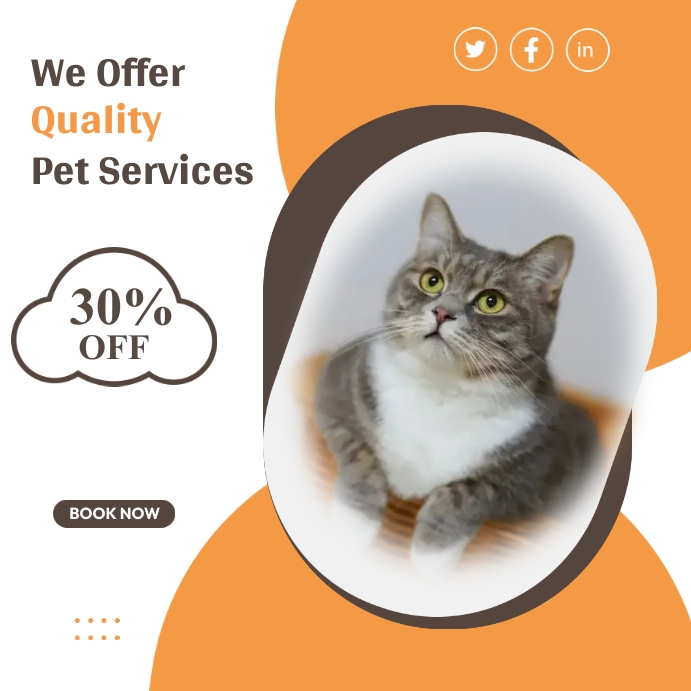 Pet Services Template Wpis na Instagrama