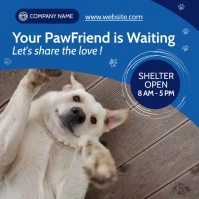 pet shelter advertisement square template des Instagram Post