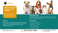 Pet Shop Business blog header post template