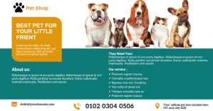 Turquesa Pet Shop Изображение, которым поделились на Facebook Template