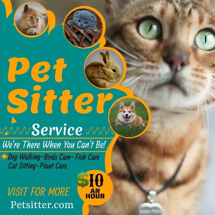 pet sitter Template PosterMyWall