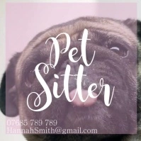 Pet Sitter Instagram Advert template
