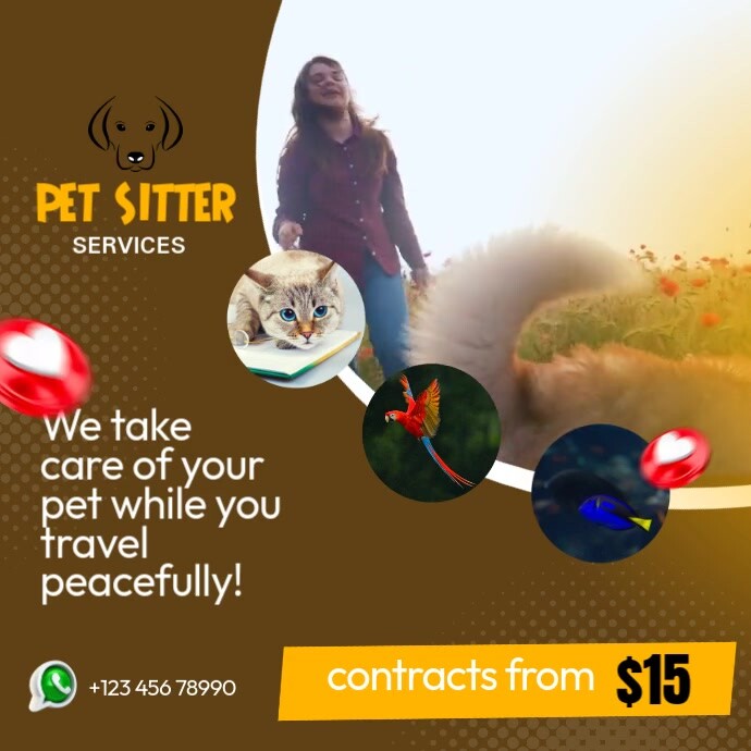 Pet sitter services Instagram 帖子 template