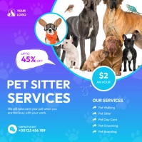 Pet Sitter Services Flyer Square (1:1) template