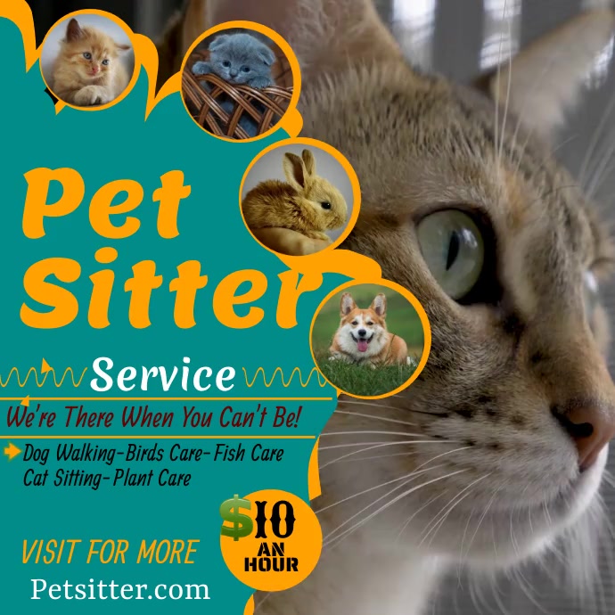 pet sitting Template PosterMyWall
