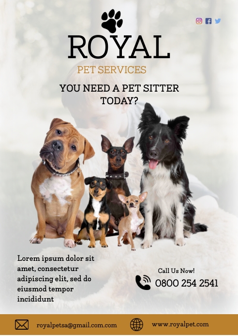 Pet Sitting Flyer Template PosterMyWall