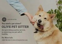 Pet sitting flyer A6 template