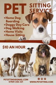 Pet Sitting Service Poster template