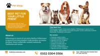 pet store twitter post template