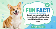 Белый Pet Trivia Immagine condivisa di Facebook Template
