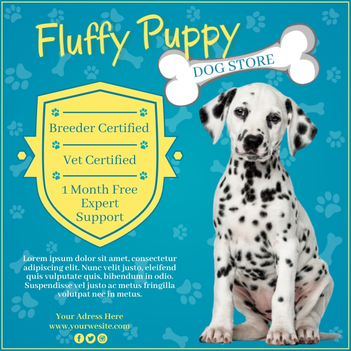 Pets, Pet Store Instagram 帖子 template