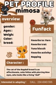 cat Profil Poster Affiche template