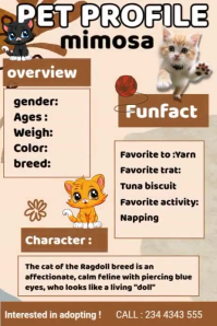 Missing Pet Poster 海报 template