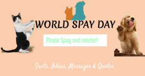 Marrón World Spay Day Obraz udostępniany na Facebooku Template