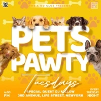 Pets Pawty Tuesdays Message Instagram template