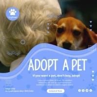 Pets Video Poster Instagram 帖子 template