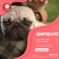 Pets Video Poster Instagram 帖子 template