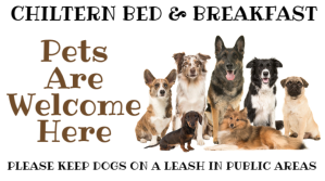 Pets Welcome Here Poster Template Tampilan Digital (16:9)