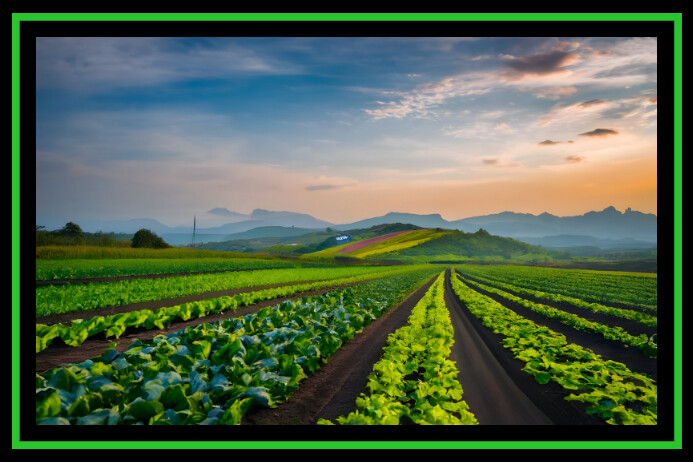 photo frame of s large farming land Template | PosterMyWall