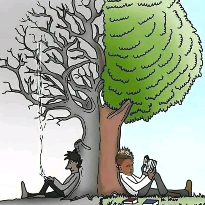 Picture of Life tree Instagram Post template