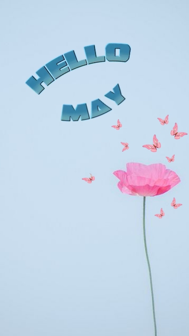 Plantilla de pink flower and butterfly hello may | PosterMyWall