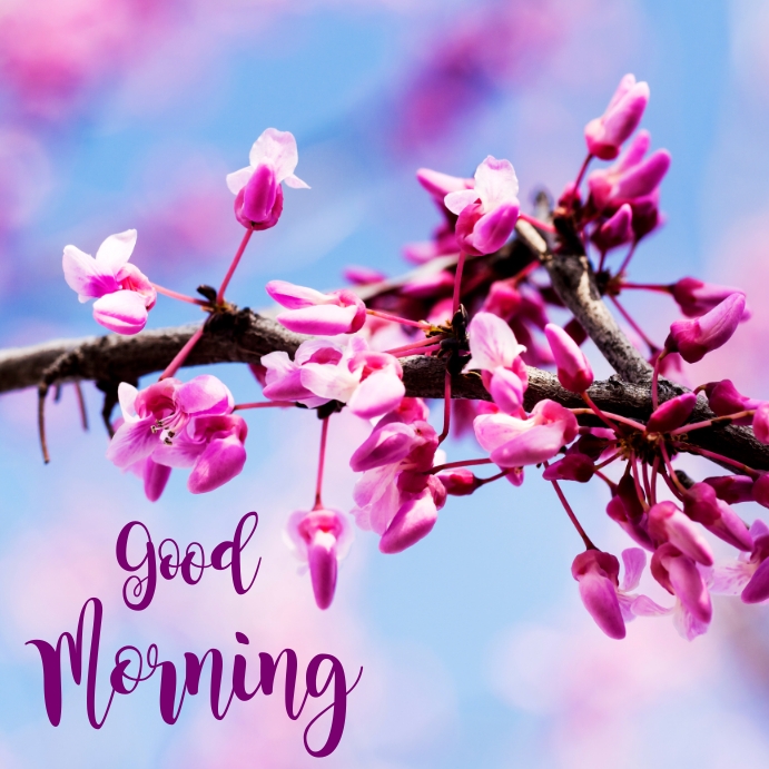 Pink Flowers Good Morning Template | PosterMyWall