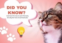 Pink Gradient Did You Know Cat Postcard template