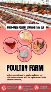 สีชมพู Poultry Farm Promotion Instagram Story Template