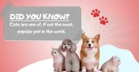 Pink Joyful Did You Know Cat Facebook Shared template