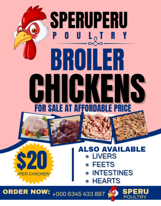 Plantilla de Pink Maximalist Broiler Chicken Poster/wallboard ...