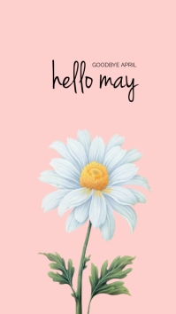 Pink Hello May Template | PosterMyWall