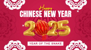 Pink Chinese New Year 2025 Celebration Post sa Twitter Template