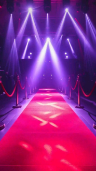 Pink Modern & Minimal Red Carpet Spotlight  Instagram Story template